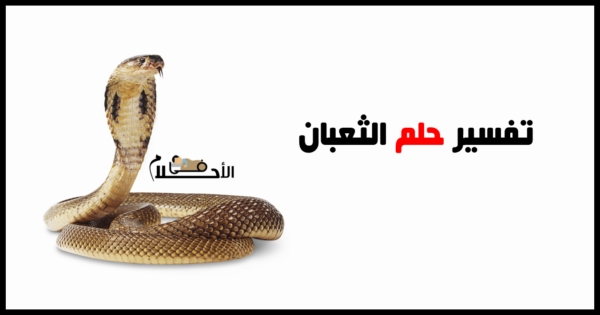تفسير حلم الثعبان بألوانه