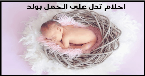 صورة7 3