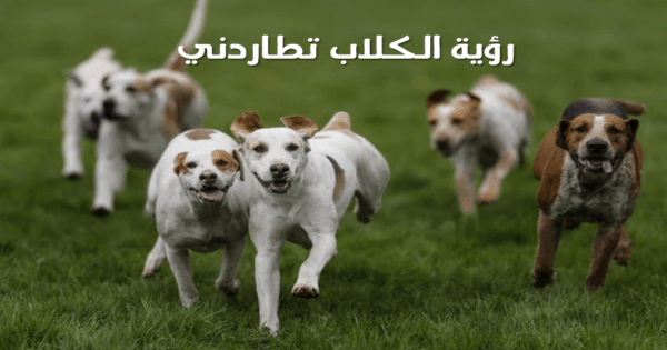 تفسير رؤية الكلاب تلاحقني في المنام