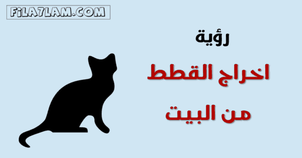 ما تفسير رؤية القطط في المنام ومحاولة اخراجها من البيت ؟