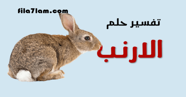 تفسير حلم الارنب في المنام