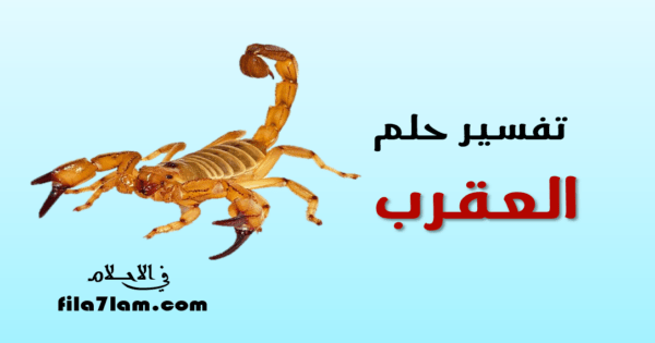 تفسير حلم العقرب في المنام