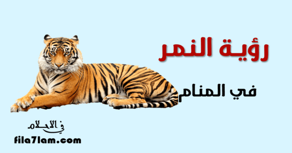 رؤية النمر في المنام