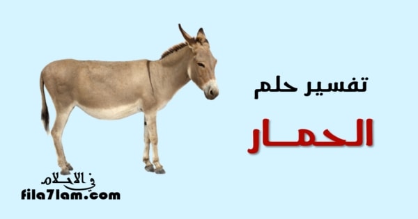 الحمار في المنام