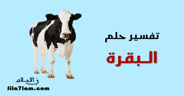 تفسير حلم البقرة في المنام