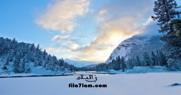 تفسير حلم الثلج