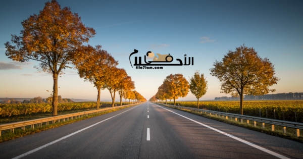 الطريق في المنام