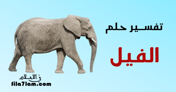 تفسير حلم الفيل