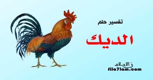 رؤية الديك في المنام