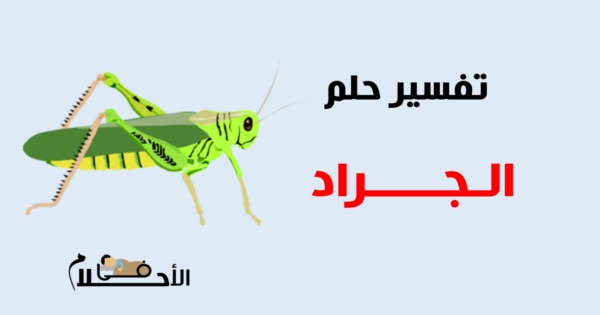 تفسير حلم الجراد في المنام