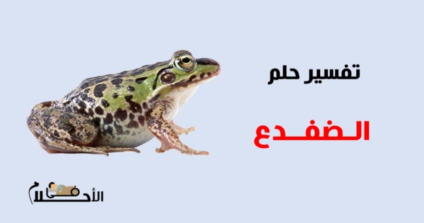تفسير حلم الضفدع