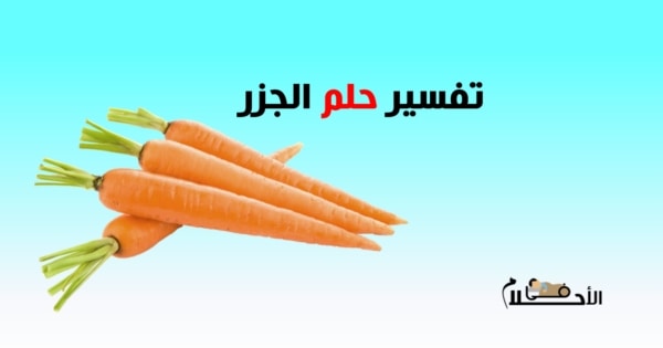 تفسير حلم الجزر
