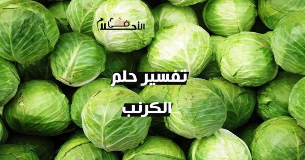 تفسير حلم الكرنب فى المنام