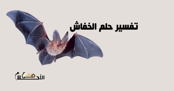 تفسير حلم الخفاش
