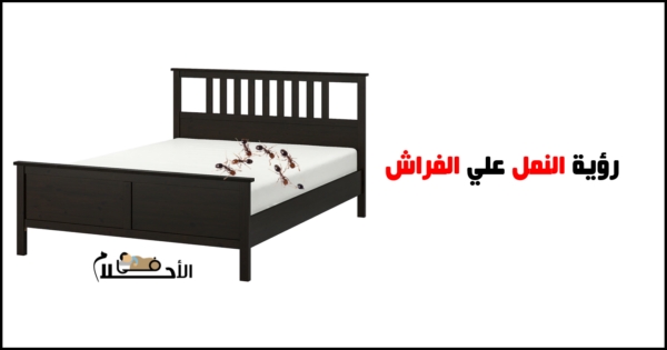تفسير رؤية النمل في المنام على الفراش