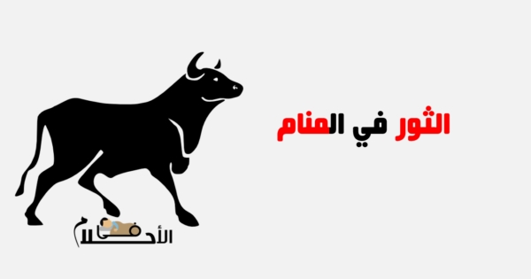 تفسير حلم الثور
