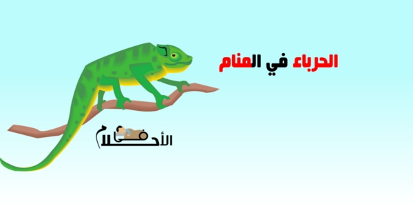 تفسير حلم الحرباء