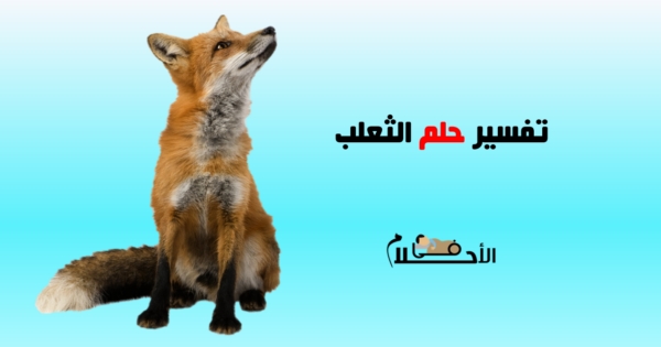 رؤية الثعلب في المنام