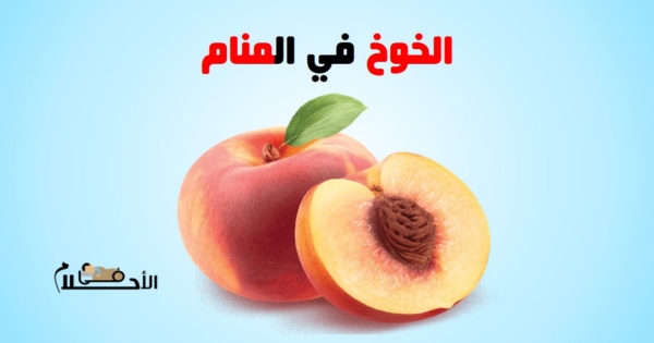 تفسير حلم الخوخ في المنام