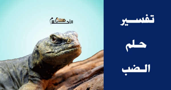 تفسير حلم الضب