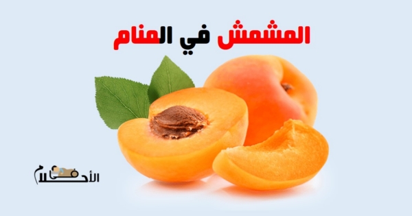 رؤية المشمش في المنام
