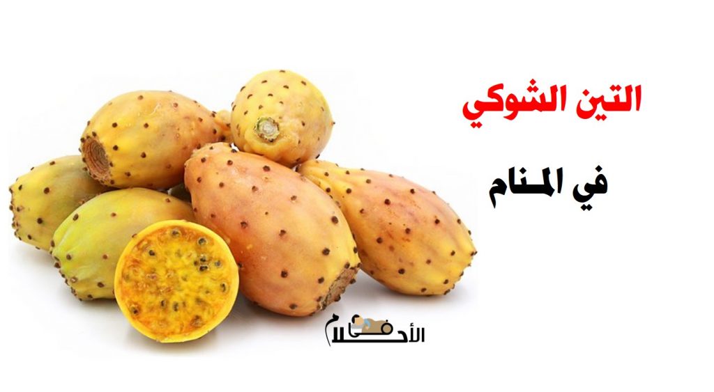 تفسير حلم التين الشوكي في المنام