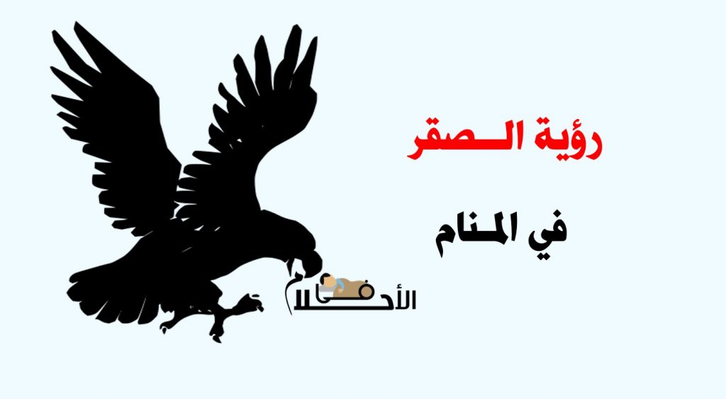 رؤية الصقر في المنام