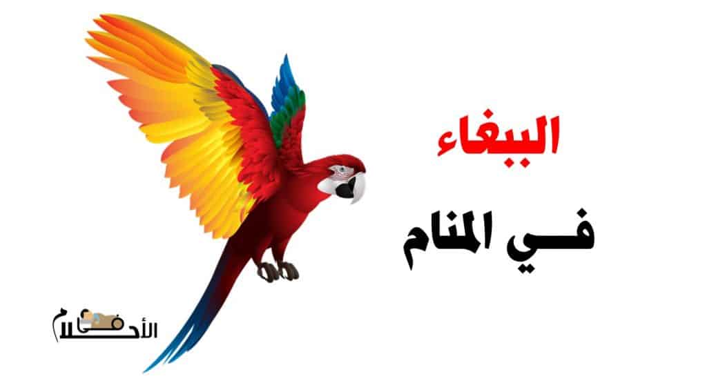 الببغاء في المنام