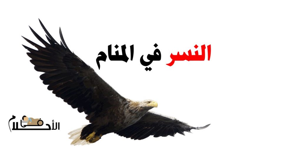 رؤية النسر في المنام