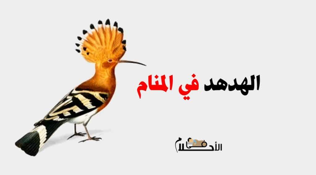 رؤية الهدهد في المنام