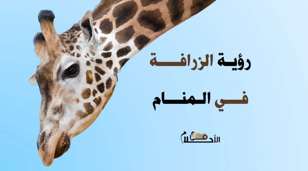 رؤية الزرافة في المنام