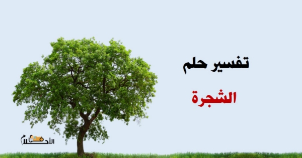 تفسير حلم الشجرة