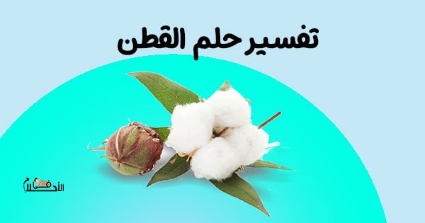 تفسير حلم القطن