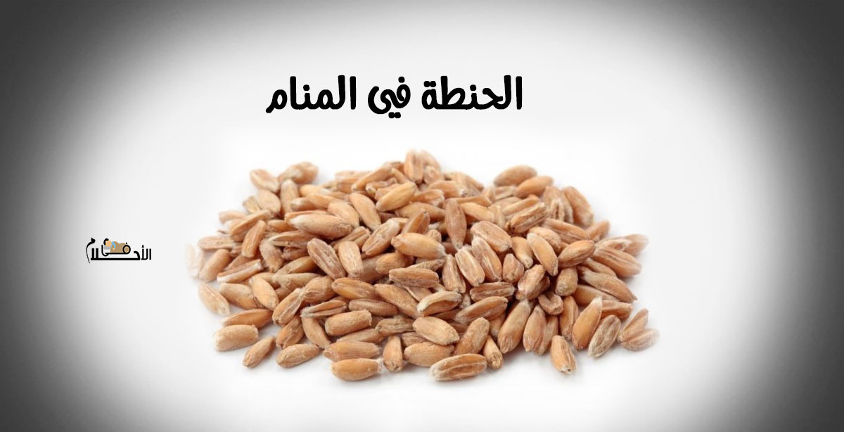 الحنطة في المنام