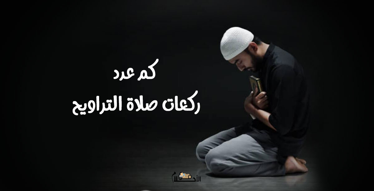كم عدد ركعات صلاة التراويح