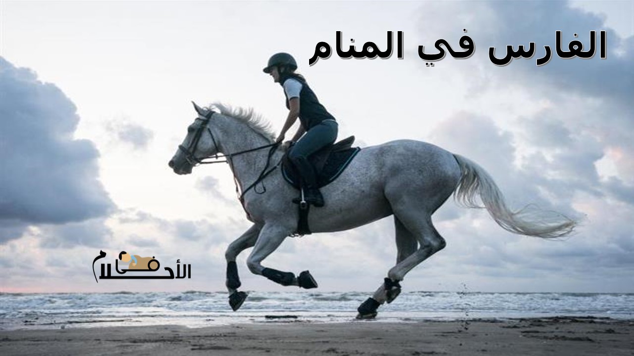 الفارس في المنام