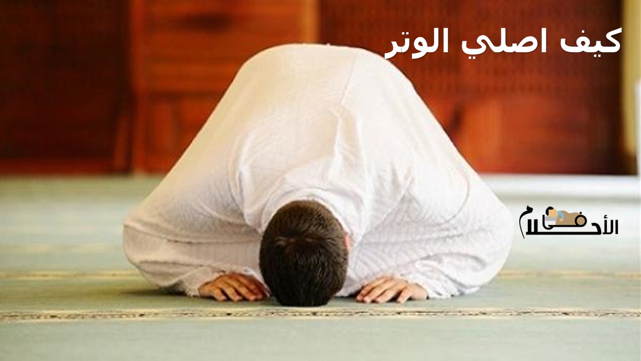 كيف اصلي الوتر