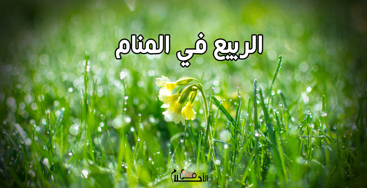 الربيع في المنام