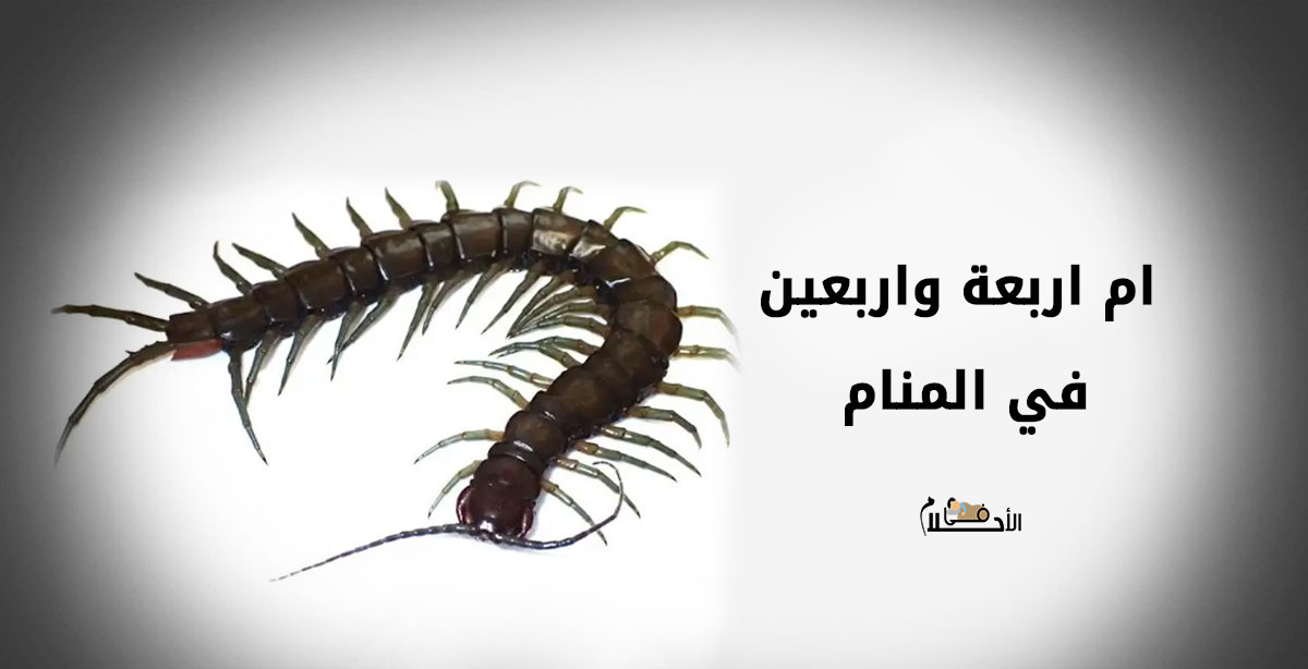 ام اربعة واربعين في المنام