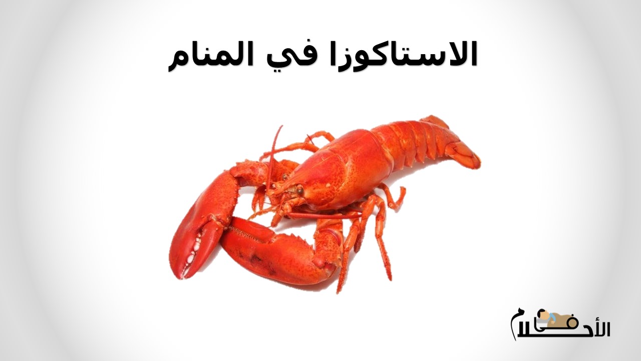 الاستاكوزا في المنام