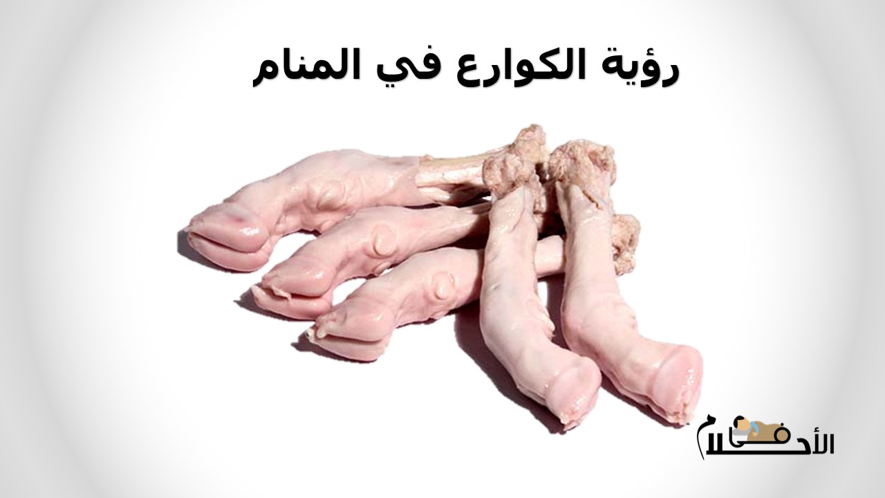 رؤية الكوارع في المنام