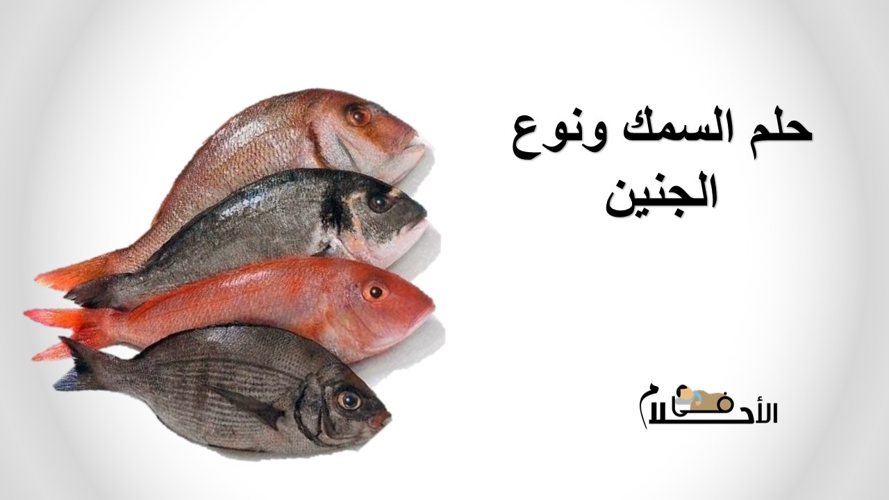 حلم السمك ونوع الجنين