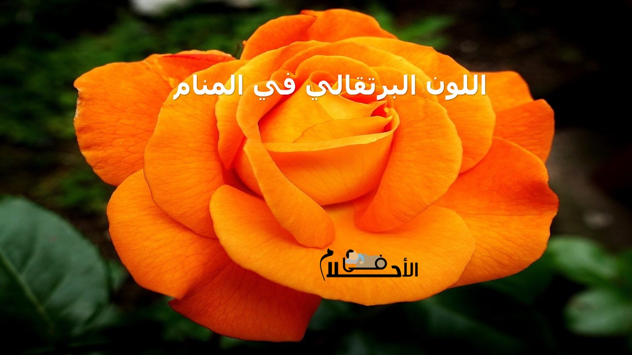 اللون البرتقالي في المنام