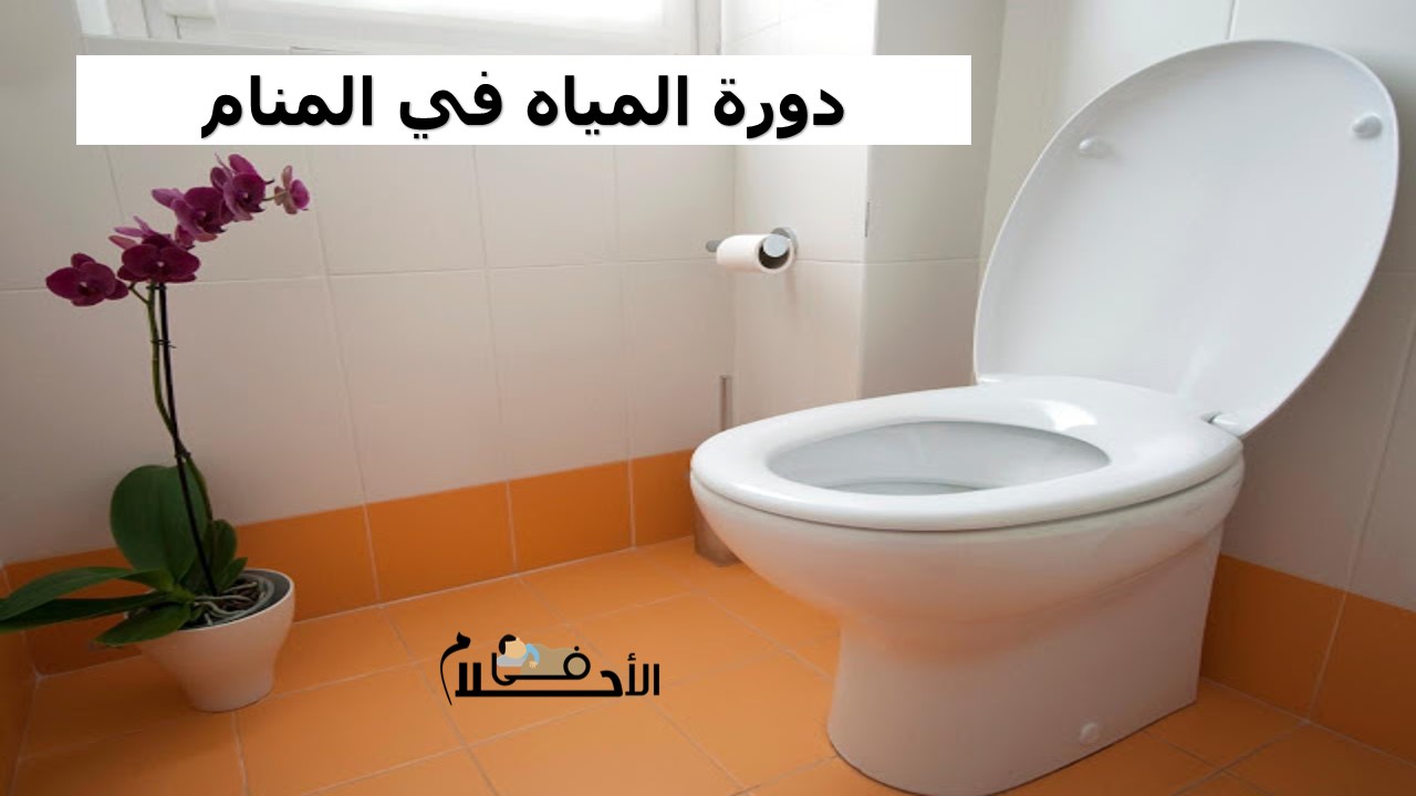دورة المياه في المنام