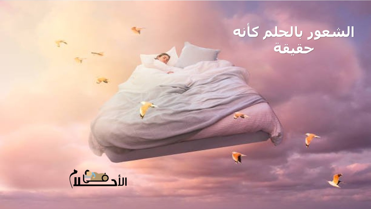 الشعور بالحلم كأنه حقيقة