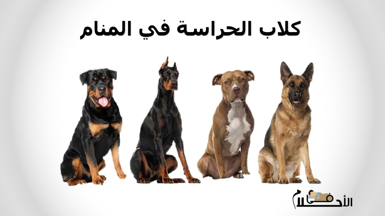 كلاب الحراسة في المنام