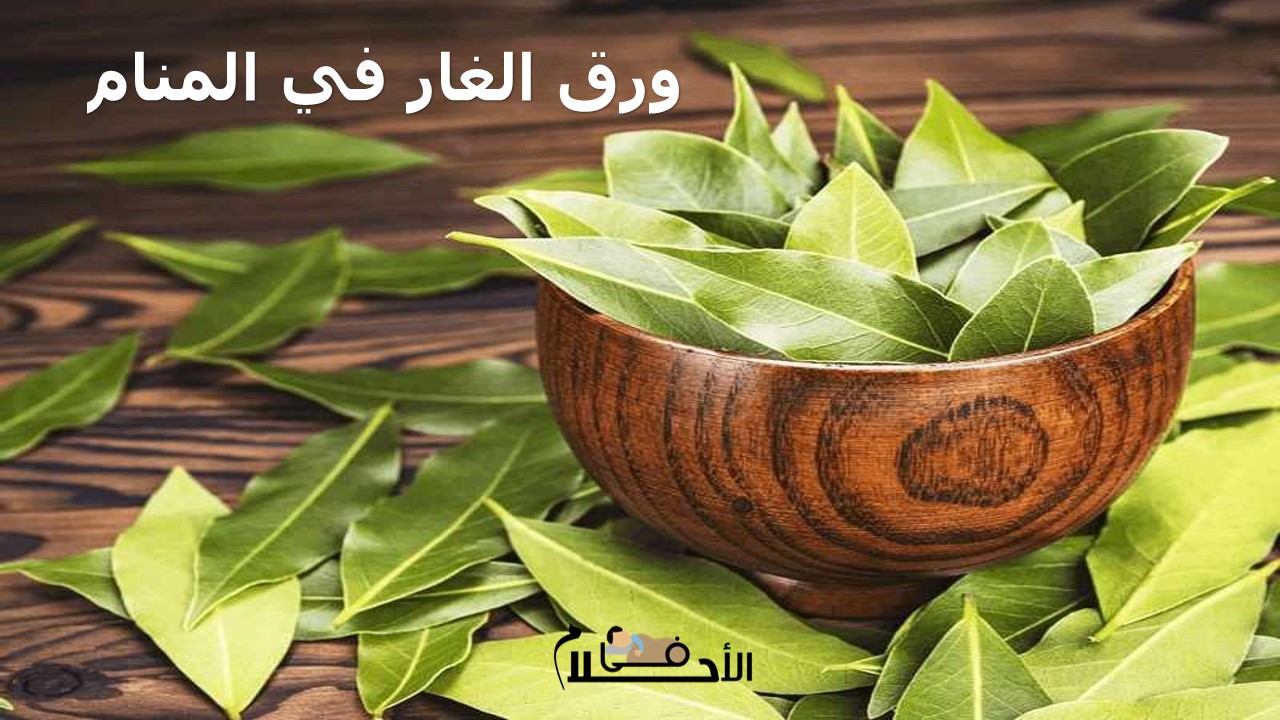 ورق الغار في المنام