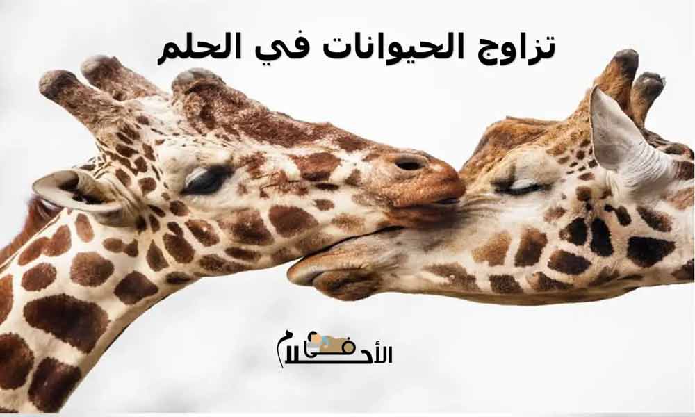 تزاوج الحيوانات في الحلم