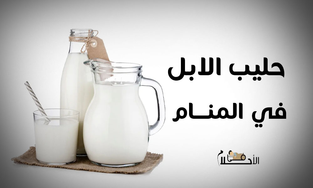 حليب الابل في المنام