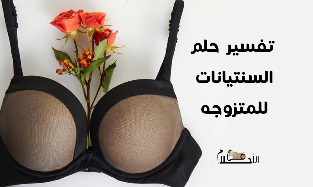 تفسير حلم السنتيانات للمتزوجه